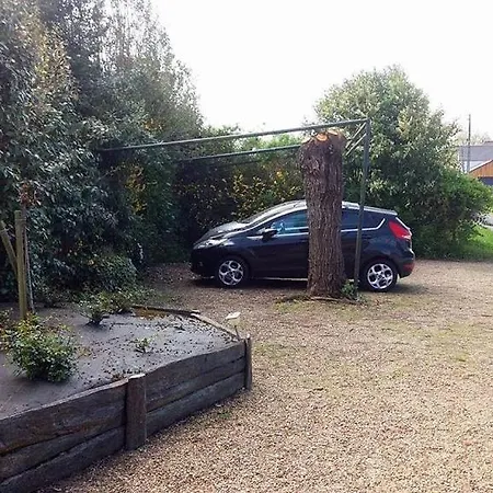 Oda ve Kahvaltı Lorali